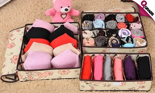 Foldable Innerwear Organizers!